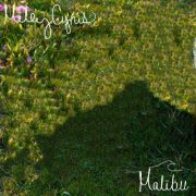 دانلود آهنگ Malibu از مایلی سایرس با کیفیت اصلی و متن