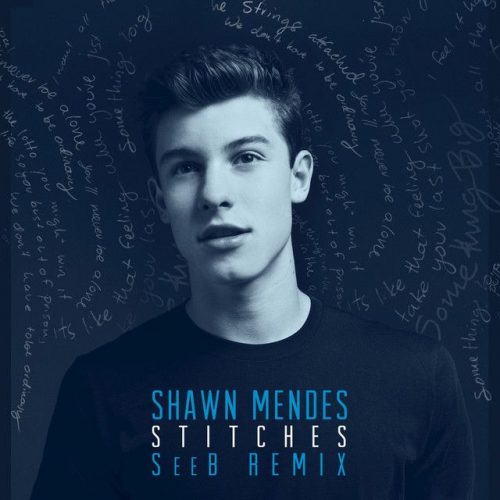 Shawn Mendes Stitches Seeb Remix 500x500 