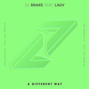 دانلود آهنگ A Different Way از DJ Snake & Lauv با کیفیت اصلی و متن