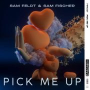 آهنگ خارجی Pick Me Up از Sam Feldt Ft. Sam Fischer با متن