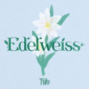 دانلود آهنگ EDELWEISS از گروه T1419 با کیفیت اصلی و متن