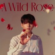 دانلود آلبوم A Wild Rose از کیم ریووک با کیفیت اصلی