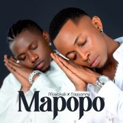 دانلود آهنگ Mapopo – Remix از Mavokаli با کیفیت اصلی و متن