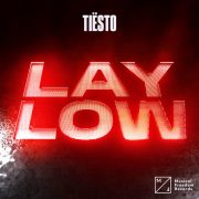 دانلود آهنگ Lay Low از تییستو با کیفیت اصلی و متن