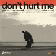 دانلود آهنگ Don’t Hurt Me (What Is Love) از Yves V, Conor Maynard