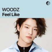 دانلود آهنگ FEEL LIKE از WOODZ با کیفیت اصلی و متن