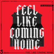 دانلود آهنگ Feel Like Coming Home از دی جی علی گیتور با متن