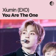 آهنگ زیبای You Are The One از XIUMIN (EXO) با کیفیت اصلی