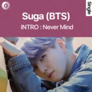دانلود آهنگ INTRO : Never Mind از Suga (BTS) با کیفیت اصلی و متن