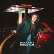 دانلود آهنگ Hungry Heart از Declan J Donovan با کیفیت اصلی و متن