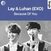 دانلود آهنگ Because Of You از Lay & Luhan (EXO) با کیفیت اصلی و متن