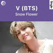 دانلود آهنگ Snow Flower از تهیونگ (وی بی تی اس) با متن