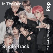 آهنگ این د دارک از دی جی اسنیک؛ استری کیدز با پخش آنلاین