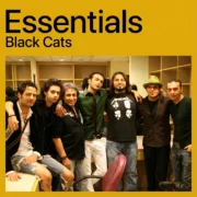 دانلود بهترین آهنگ های بلک کتس از بلک کتس (پلی لیست گروه Black Cats)