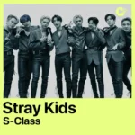 آهنگ اس-کلس از استری کیدز با ترجمه فارسی