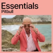 دانلود بهترین آهنگ های پیت بول (پلی لیست پیت بول)