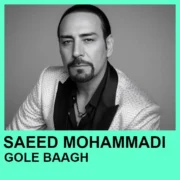دانلود آهنگ گل باغم تو کردی از سعید محمدی (با کیفیت اصلی و متن)