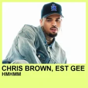 آهنگ همهمم از کریس بروان و است جی با پخش آنلاین